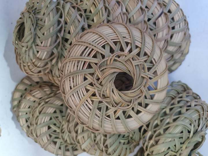 5%20c%C3%A1i%20R%E1%BA%BF%20tre%20,%20r%E1%BA%BF%20%C4%91%E1%BB%A9ng%20cu%20g%C3%A1y%20-%20Image%204