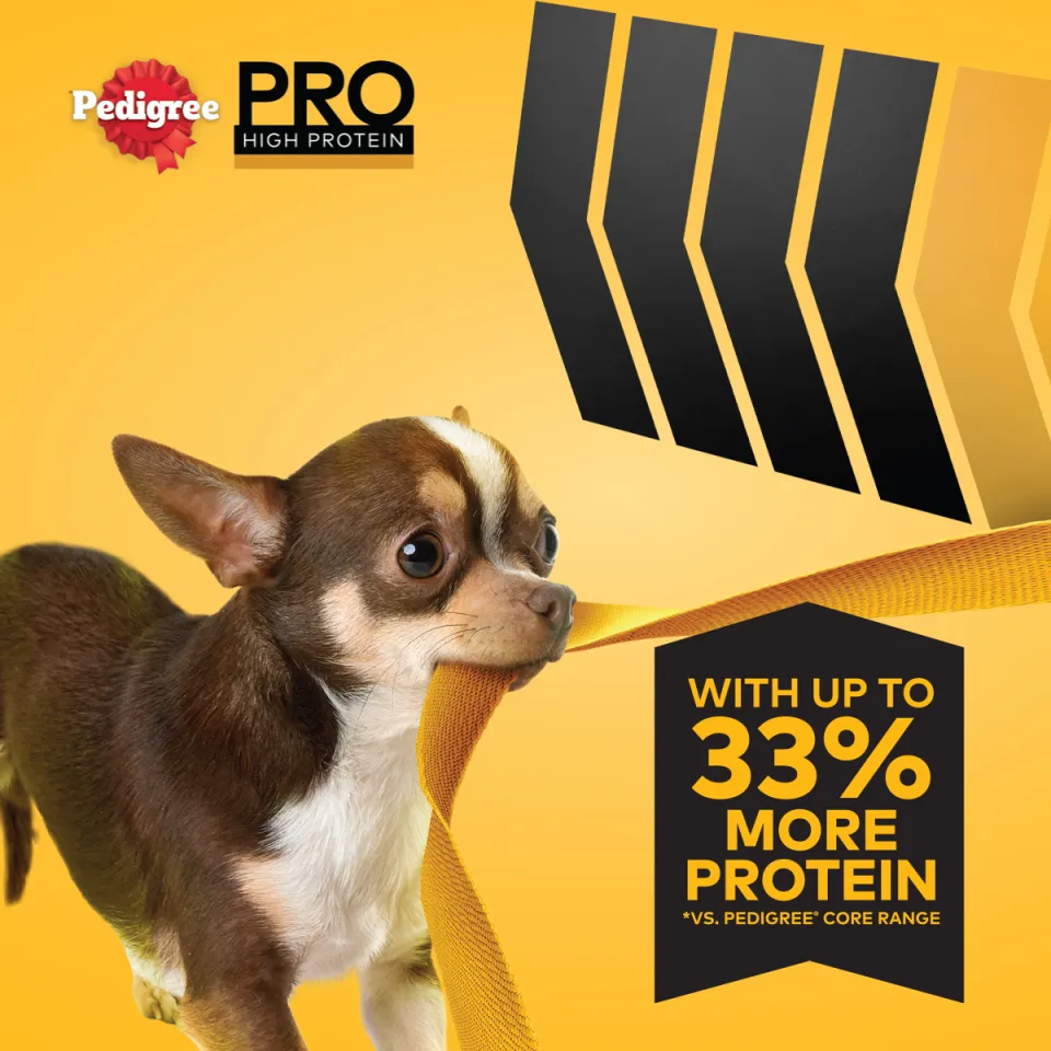 PEDIGREE PRO High Protein Dog Food Dry Dog Food For Mini and Small