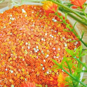 Gliter Bubuk Hologram Art MIxed Decoration Hiasan Dekorasi Kuku Wajah Bling Bling