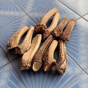 สุดยอดวัตถุดิบทำด้ามมีด มะระเดือดๆ หนาแน่นอวบตัน เหมาะกับหลายงาน 10 ชิ้น สุดคุ้ม