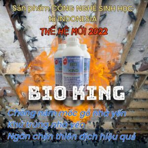 CHỐNG NẤM MỐC GỖ NHÀ YẾN - DUNG DICH BIO KING - COMBO 2 CHAI