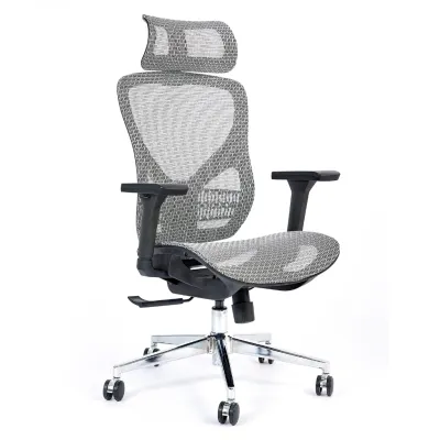 Smart Ergo Mesh Ergonomic Computer Chair | Office Chair