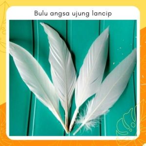 BULU ANGSA UJUNG LANCIP 100 HELAI - BULU AYAM WARNA WARNI - BULU ANGSA WARNA WARNI - BAHAN AKSESORIS DREAM CATCHER PENANGKAP MIMPI - HIASAN DINDING MURAH