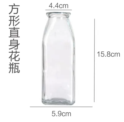 [Local Stock] Elegant Transparent Glass Plant Flower Vase Pot
