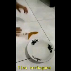 Tisu Dapur Ajaib Cuci Berkali Kali 250gr Wangi Serbaguna Radja Tisu Serbaguna