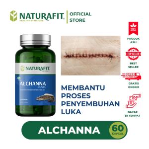 KAPSUL KUTUK ALCHANNA KUTUK PREMIUM EKSTRAK IKAN GABUS ALBUMIN MENGERINGKAN BEKAS LUKA BAKAR LUKA PASCA OPERASI - NATURAFIT HERBAL BPOM