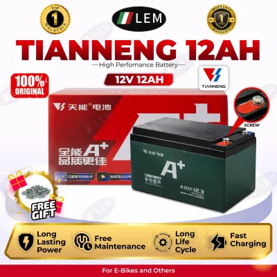 CHILWEE ORIGINAL LEM ELECTRIC BIKE BATTERY RECHARGEABLE