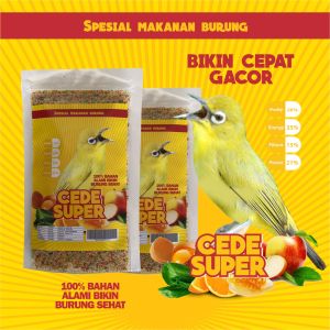 MAKANAN BURUNG PLECI HARIAN DAN LOMBA CEDE SUPER