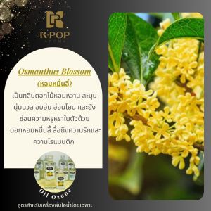 เครื่องพ่นไอน้ำอโรม่า💦เครื่องทำความชื้นเครื่องพ่นน้ำหอม สาย USB 🔥พร้อมส่ง🔥 เครื่องพ่นน้ำหอม น้ำหอมปรับอากาศ