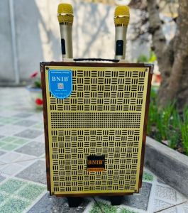 Loa kéo chính hãng BNIB M8 bass 20 có chống húkèm 2 mic không dây