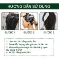 Dầu gội nấm da đầu dược liệu Tinea chống ngứa giảm gàu, rụng tóc và nấm ngứa da đầu - 100ml. 