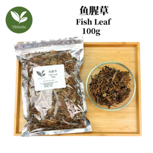 鱼腥草 100g Fish Leaf Fish Mint Chinese Herbs