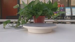 降血糖夷太方人参知母五味子黄精胶囊保健品辅助调节血糖偏高定制