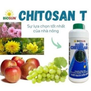 Nano Chitosan BioSun 5% 500ml – Chế Phẩm Sinh Học Cho Cây Công Nghiệp & Ăn Trái Giúp Phòng Nấm Hại