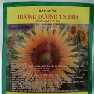 Hạt giống hoa hướng dương tháp cao Trang Nông TN282A gói 5 gam