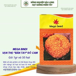 Hạt Giống Vạn Thọ Lùn F1 BINDI Cam Đỏ – Cổ Lùn Bông To – Mega Seed