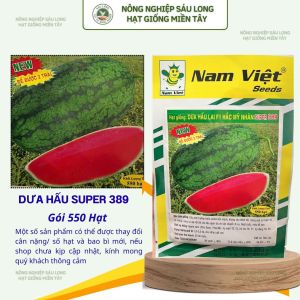 Hạt Giống Dưa Hấu Lai F1 Hắc Mỹ Nhân Super 389 – 550 Hạt – Nam Việt Seeds