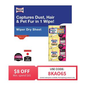[VALUE PACK] Magiclean Wiper Dry Sheets 20s x 3