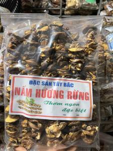 Nấm hương rừng Tây Bắc nấm đông cô rừng khô nấm hương rừng xiên que phơi khô tự nhiên.