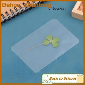 Behoo 1 5 10Pcs Lucky Clover Postcards Natural Grass Transparent Wishing Cards For Bookmarks