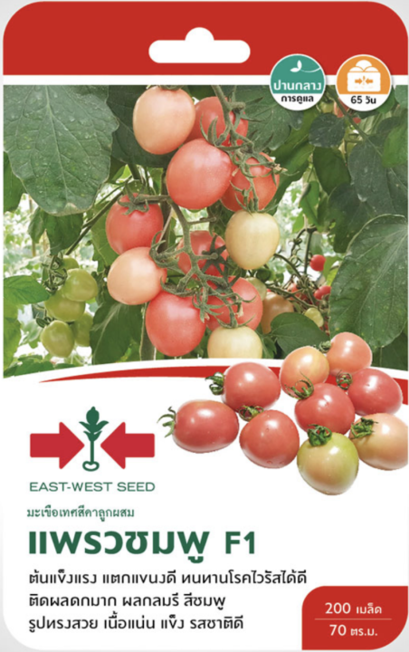 เมล็ดพันธุ์มะเขือเทศสีดา แพรวชมพู ตราศรแดง ทนร้อน ผลดก