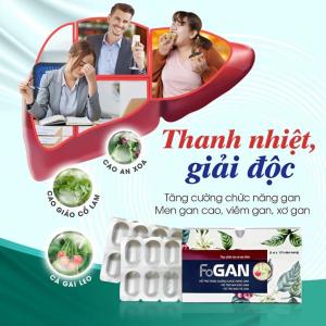 Viên Uống Cà Gai Leo FOGAN Fobe Giải Độc Gan Bảo Vệ Gan Tăng Cường Chức Năng Gan - Hộp / 20 viên