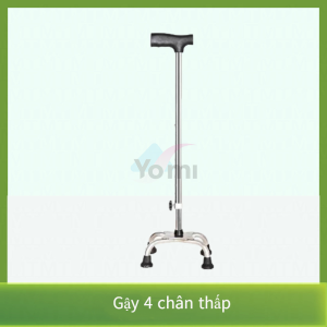 Gậy Chống Cho Người Già 4 Chân Inox Cứng Cáp Điều Chỉnh Chiều Cao 65 - 90 cm