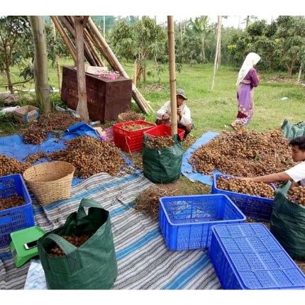 Pupuk%20booster%20Kelengkeng%20larut%20dalam%20air%20-%20Image%204