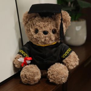 JOJO CASTLE Graduation Soft Toy New Graduation Teddy Bear 25cm Kawaii Doctor Bear Plush Toy Soft Stuffed Teddy Bears Plushies Doll Party Decor Student Graduation Gifts Souvenir Gifts for Children 毕业玩偶 毕业礼物