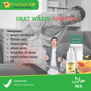 Obat Wasir Benjolan Di Anus Fistula Ani Ambeien Nyeri Anus Lecet Susah Bab Bab Beradarah Propolis SM
