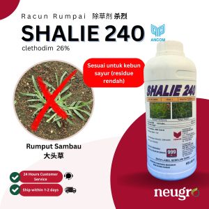 Ancom SHALIE 240 (1L) Clethodim 26% Racun Rumput Sambau Rumput Padi Burung Rumpai (Sama Select 240/Tekad/Kenthodim/Kisol) 大头草除草剂