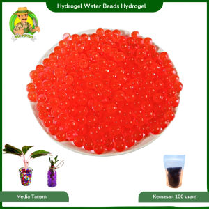 Hydrogel Media Tanaman Pengganti Tanah Mempercanik tanaman Hias