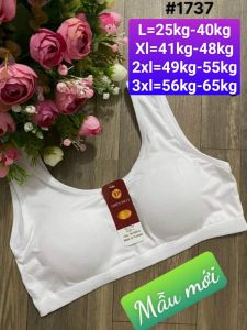 ♥️ Shop Uy Tín ♥️5 áo lá hoc sinh hoặc người lớn đệm mỏng [1735