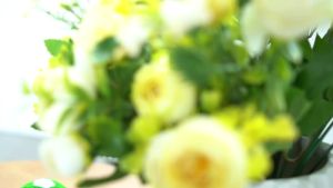 Pet Supplies Latex Sound Ball Series Football Volleyball Interactive Boredom Relief Durable Chew Stress Relief Teeth Grinding Dog Toy