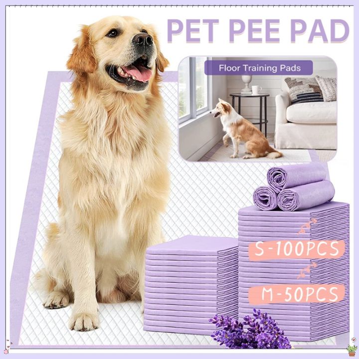 Wee Wee Pads How To Use Training Pads To Potty Train A Puppy The
