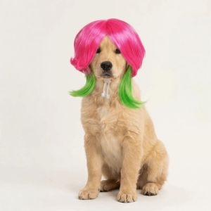 KAIEW with Bangs Colorful Pet Wig Comfortable To Wear Adjustable Fit Cat Dragon Fruit Color Mullet Hair Skin-friendly Reusable Kitty Fake Hair Halloween Celebration