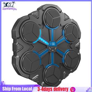 Music Interactive Punching Trainer Wall Mounted BT Boxing Workout Equipment Target for Adults Kids Boys Girls 8 9 10 11 12 Years Old