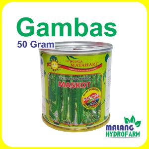 Benih Gambas Maskot 50 g Cap Bunga Matahari dataran rendah sampai menegah unggul bibit biji sayur bening oyong hydroponik hidroponik