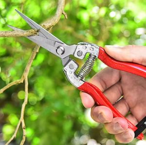 กรรไกรตัดกิ่งดอกไม้ ปลายแหลม กรรไกรตัดกิ่งผลไม้ กรรไกรตัดกิ่งก้านหนา กรรไกรตัดกิ่งผลไม้