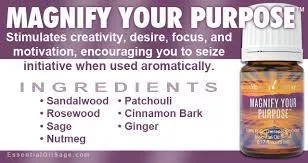 Young Living Magnify Your Purpose Essential Oil 5ml | Lazada