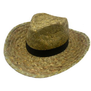 Woven Straw Hat Beach Sun Hat Hollows Out Sunhat Stylish Wide Border Hat for Men and Women
