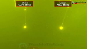 [ BELI 2 GRATIS 1 ] essen pancing vanili jerman vanilly jerman aroma wangi roti jco