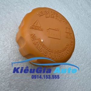 Nắp bình nước phụ Daewoo Matiz 1999-2010 96420303