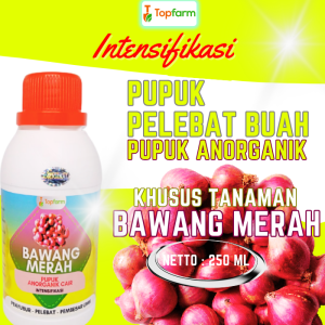 Pupuk Pembesar Umbi Bawang Merah / Pupuk Penyubur Bawang Merah / Pupuk Pembesar Popor Bawang Merah / Pupuk Bawang Merah Berbuah / Pupuk Khusus Bawang Merah