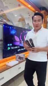 MICRO không dây Bản gốc chuyên nghiệp Karaoke gia đình đa chức năng Tiệc ngoài trời BH 12T
