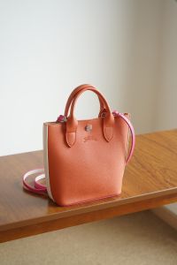 Original  Epure series womens bag Mini cross-body Tote bag ladies 24 models