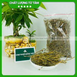 Diệp hạ châu khô 1kg cây chó đẻ đắng răng cưa hỗ trợ tiểu đường mát gan lợi tiểu sỏi thận