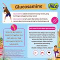 HiLo Active Chocolate 1000g - Susu Dewasa Tinggi Kalsium Sumber Protein Mineral Organik Alga Merah. 