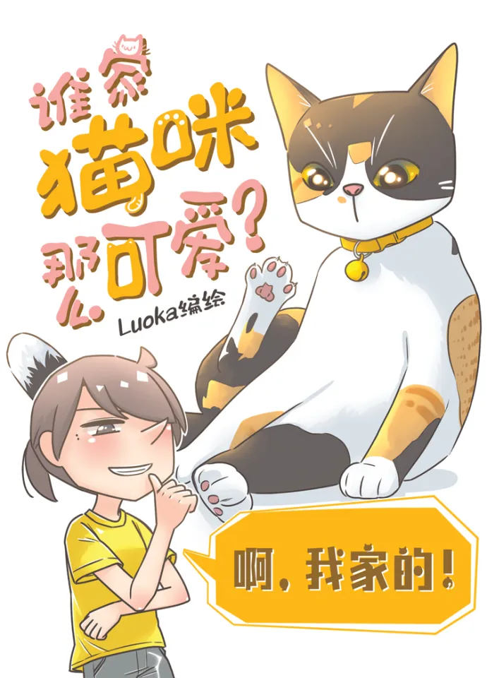 萌猫 暴躁小猫！ - YouTube