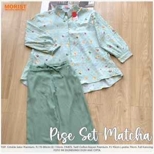 pise set ld 110 morist